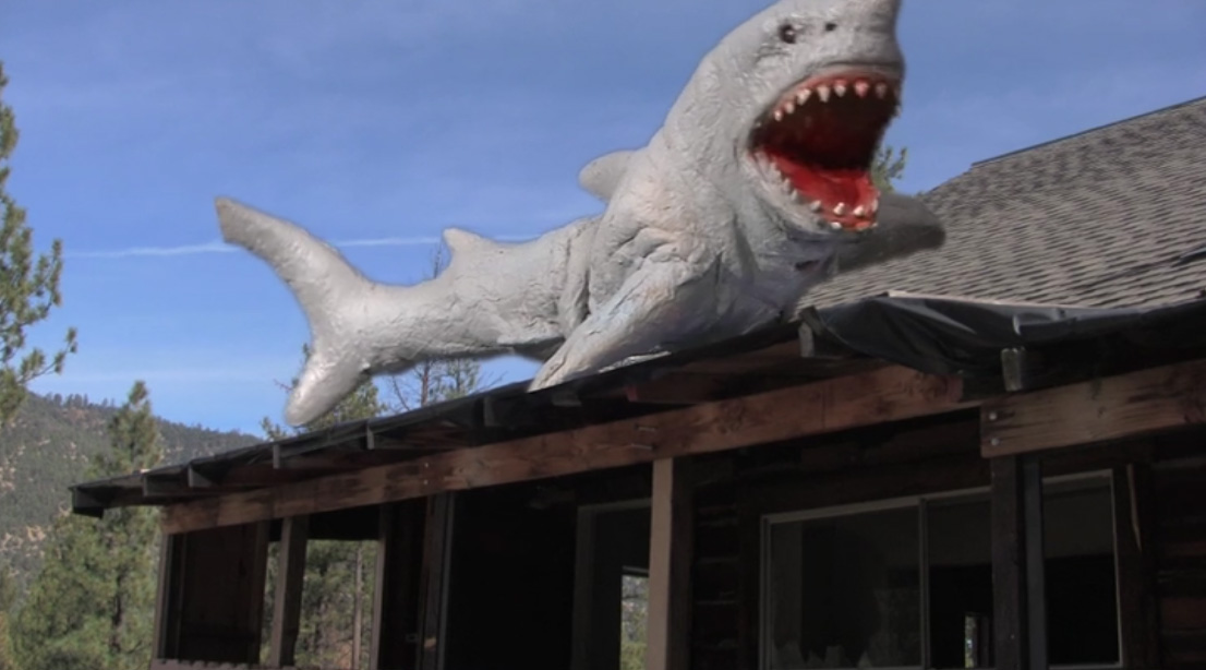 Land Shark (2017) Screencap